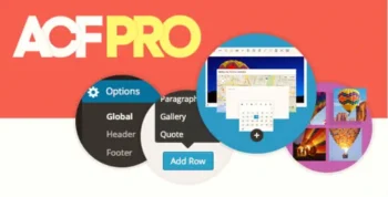Advanced Custom Fields (ACF) Pro 6.4.0.1