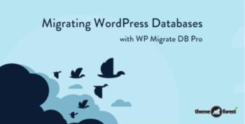 WP Migrate DB Pro – WordPress Site Migration Plugin 2.7.0