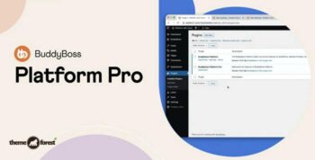 BuddyBoss Platform Pro 2.6.71