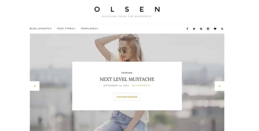CSS Igniter Olsen Pro WordPress Blogging Theme 2.8.3