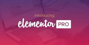 Elementor PRO WordPress Page Builder 3.3.0