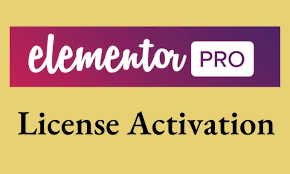 Elementor | Original License For One Year – Exclusive Deal