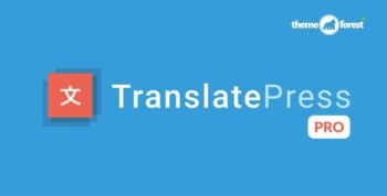 TranslatePress Pro 2.9.10 + Multilingual Business Plan 1.5.5